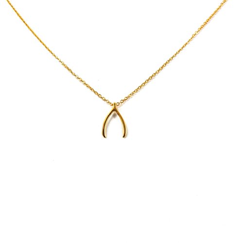 Lil Pepper Jewelry Wishbone Gold Plated Necklace Dainty Pendant Good Luck Wishful Bone