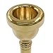 Litoexpe 1 Pcs Trombone Mouthpiece Small Shank 12C, Trombone Instrument Mouthpiece (Gold)