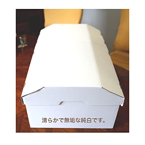 Amazon.co.jp: ペットのひつぎ アーチエンジェル ピンク ブルー ペット