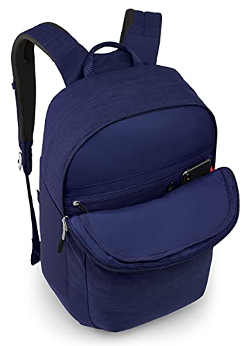 Image of Osprey Arcane Extra Large Day Laptop Backpack, Deep Fig, One Size