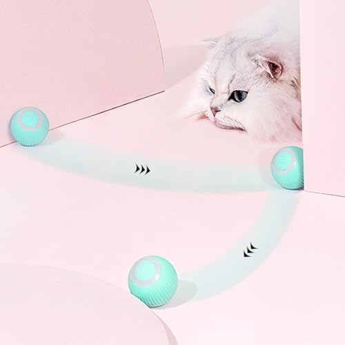 Kit Bolinha Bola Eletrônica Brinquedo Interativo Para Gato Cachorro Pet + Pena Com Som de Sino + Car