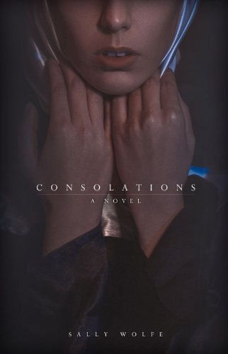 Buy Consolations: A Novel — BookShops.in