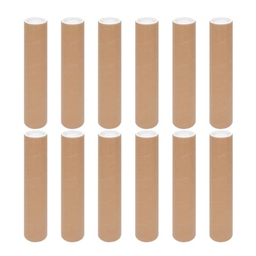 FINISPERSOO 12�{�Z�b�g �ی^�����|�X�^�[�`���[�u �|�X�^�[���[�P�[�X ���ޕی�p �g�їp�A�[�g���[�N���[ �w�� ���z�ƌ���