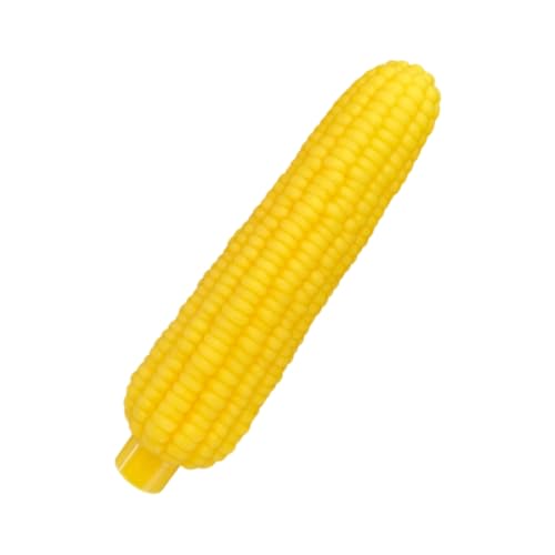 s[ibc/R[^pނ qƎqLp S Op