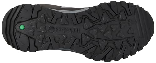 Timberland Men's Sneaker Hiking Shoe2