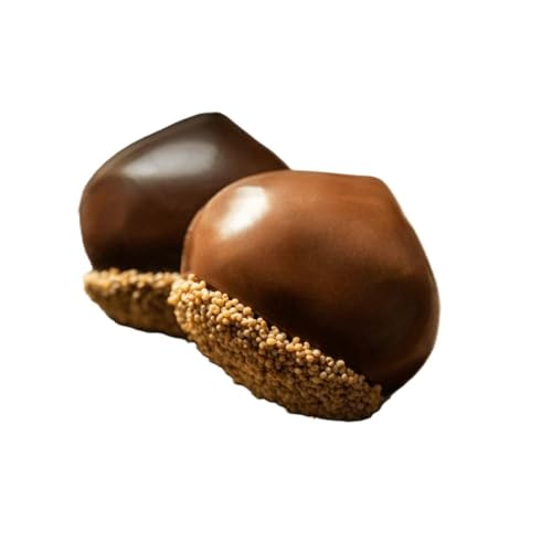 栗りん [11月上旬から順次発送]まるで栗のような贅沢チョコレート「 ぜいたく一粒 栗きんとんちょこら 」栗きんとん × チョコレート