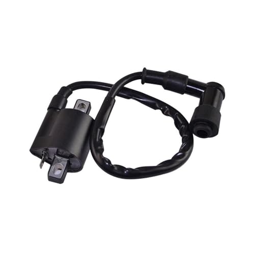 Kit bobine d'allumage et CDI pour redémarrer une moto Yamaha PW50