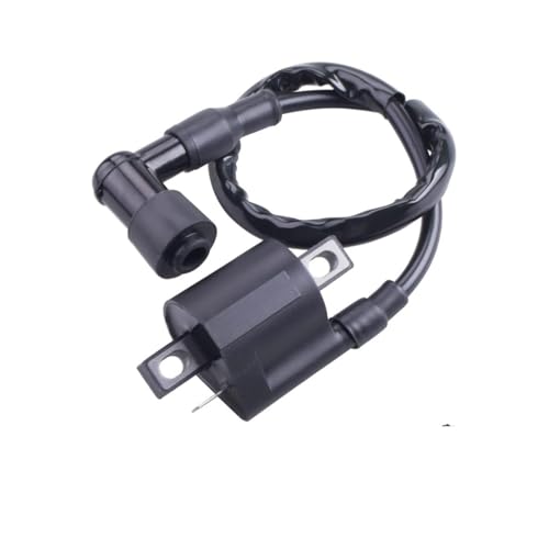 Bobina de encendido para moto PW50 y ATV de 50cc a 250cc de alta tensión