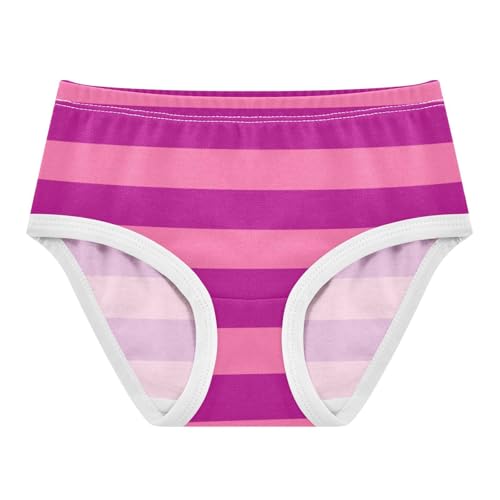 Raspberry Pink Stripe Toddler Girls's Underwear 2T