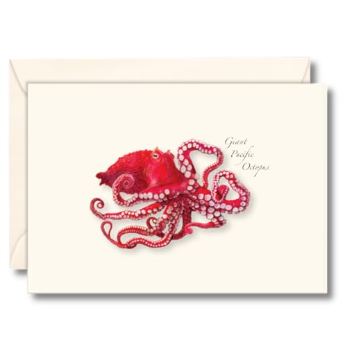 Image of Earth Sky + Water - Giant Pacific Octopus Notecard Set - 8 Blank Cards with Envelopes