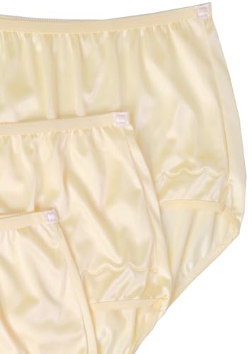 Image of Dixie Belle Women's Underwear Nylon Brief High Waist Scallop Trim 3-Pack 719