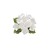 gumpaste hydrangea bunch - fiori di zucchero per decorazione torte