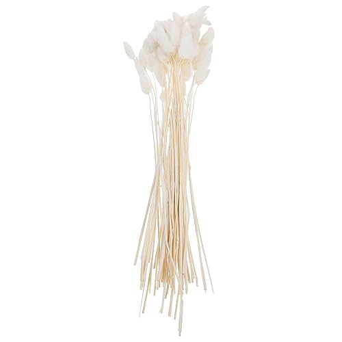 Zynphancer t[AWgp hCt[ e[OX JX~\E tFCNO[s Rfޑ ̂ۑ ƒ ItBXp[eB[t