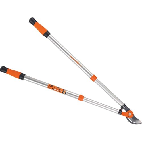 Bahco PG-19-F Ebrancheur télescopique Expert, Multicolore