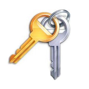 IPO LIC R6 TELEWORKER 5 -DROPSHIP- - Model#: 229431