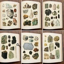 Amazon.co.jp: 超希少アンティーク チェコの鉱物図鑑(RISE NEROSTNA