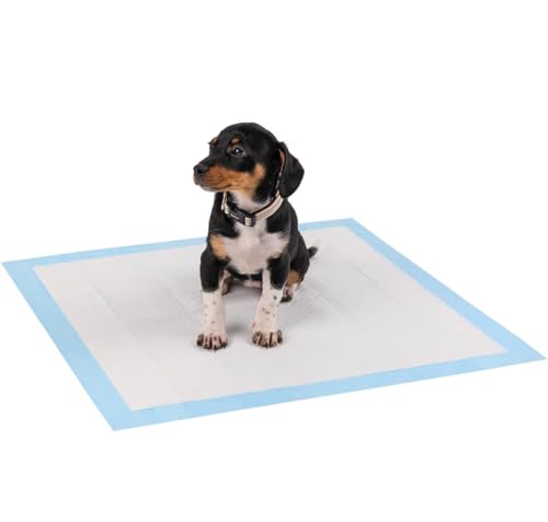 bdit accessori 100 pezzi Tappetini per l'addestramento di cani e cuccioli, design a 5 strati a prova di perdite con superficie ad asciugatura rapida, dimensione60x90cm, confezione da 100