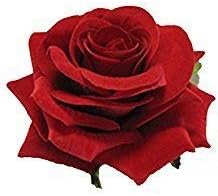 Homeoculture Rose Flower Hair Clip, Red (Pack of 2)