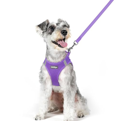 Image of rabbitgoo Dog Harness Medium Sized and Leash Set, Step-in Puppy Pet Vest