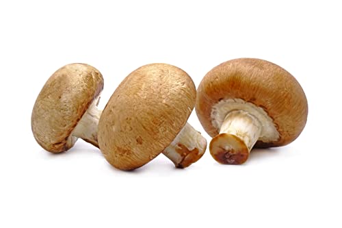 Freds Swiss Brown Mushrooms 200g- Chilled