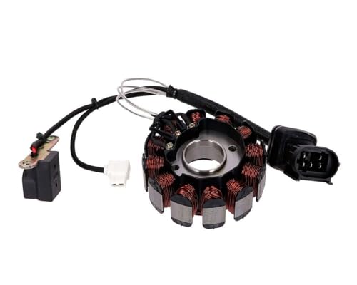 2EXTREME Stator d'alternateur compatible pour Aprilia, Gilera, Derbi, Piaggio, Vespa 125 ccm, 200 cm³ 4 temps