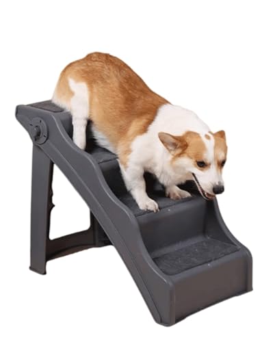 ^pybgKi Ƃԗp̔L⌢pXebv