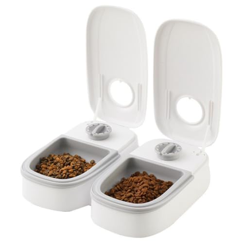 Bzvshdgee 2HLpa - 48ԃ^C}[tEFbgt[hfBXyT[ - qƎqLp①A[OgƊʋl̃oGeB