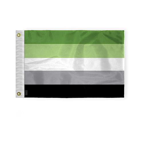 AGAS Aromantic Pride Boat Nautical Flag 12x18 Inch - Printed 200D Nylon - Brass Grommets Fade Proof Vivid Colors - Small Aromantic Pride flag for Bike Car