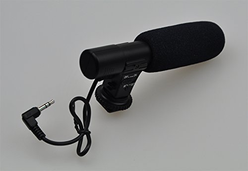 Videocamera digitale camcorder con microfono