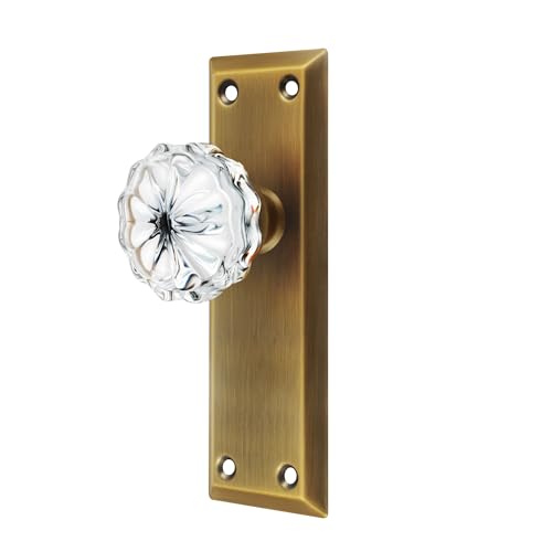 newliplace 2 Pack Antique Brass Single Sided Crystal Dummy Door