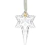Waterford annual snowstar ornament 2023  urban country home decor