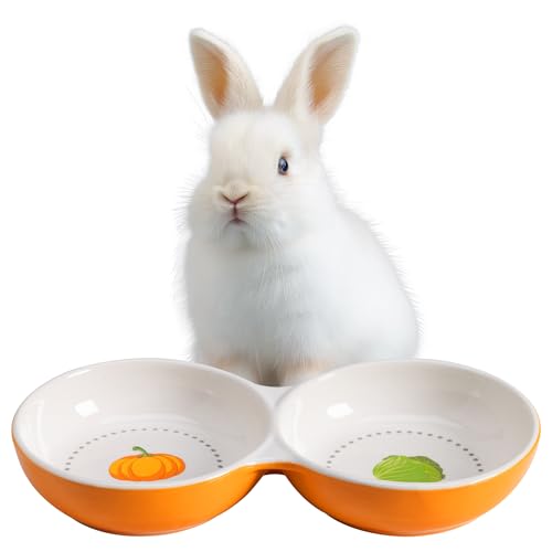 Navaris 2X Fressnapf für Kätzchen Meerschweinchen Hasen - Doppelter Futternapf kleine Katze Keramik - Fressnäpfe für kleine Tiere - Hamster...