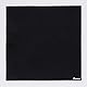 Ibanez Micro Fibre Guitar Cleaning Cloth