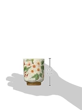 Amazon｜京焼 清水焼 陶あん窯 湯呑 (木箱入) 組湯呑 白掛桜