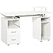 HOMCOM Mesa de Ordenador PC 120 cm Mesa Escritorio de Oficina con Múltiples Estantes 2 Cajones Bandeja de Teclado y Soportes para Monitor CPU 120x55x85 cm Blanco