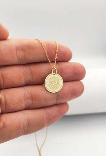 Joyas de plata ley 925 antialérgicas con disco Sleipnir que no pierde el brillo 3