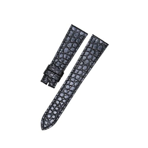 [X] 21 ~[gvXgbv ̊vGX̎vxgɓKtBbgEhOC(Black 2)