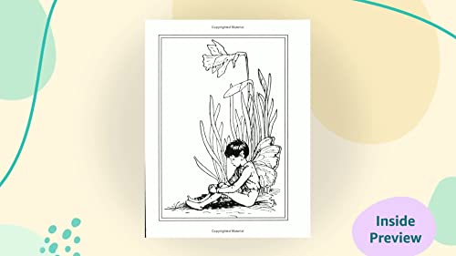 Flower Fairies of the Spring 0723237530 Book Cover