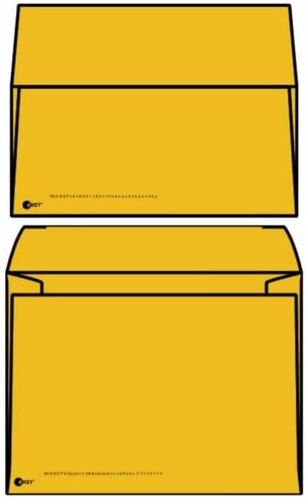 eKEY Multimedia Mailer Envelopes, 6" x 8" Roptex eKEY Multimedia Mailer, Outer Envelope with Open Side, CD/DVD Insert (Box of 500)