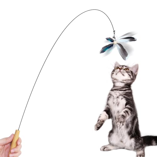 GHOSTCAT L炵  L̂ lRI` ˂炵 VRH  ފ C[ ؐ̃nh Lߋ lV