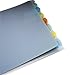 Wilson Jones View-Tab Transparent Dividers, 8 Square Tabs, Letter Size, Clear, 6 Sets per Pack (W55020)