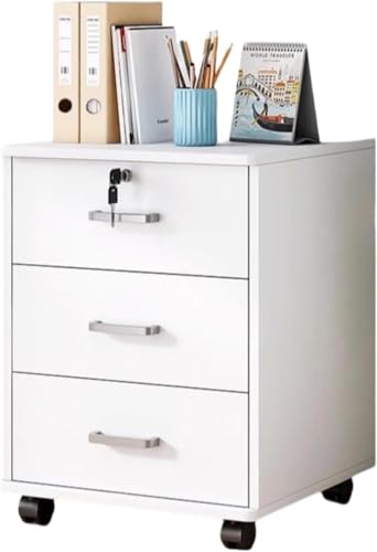 Barino t@CLrlbgAړ[AbJ[AItBXJ[gA{IAt@CAAbNtAotAeʁAƗpItBXЊwZa@p ItBXpؐAt^ ړ[Ao (B,zCg) [sAi]