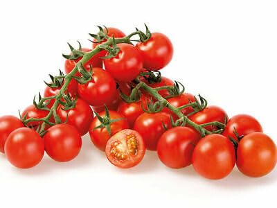Buy4seeds 10 Seeds Tomato Sakura f1 Easy for Grow Garden