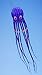 Ultra Large 300 Inches Octopus Parafoil Kite with Handle & String, Beach Park Garden Outdoor Fun, 7.5M