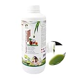 Bionutricia Pandan Extract With Coconut Milk l Natural Asian Gourmet Baking Ingredient, Natural Flavor & Color Chlorophyll of Pandan Leaf Extract for Bakery & Beverage (1kg)