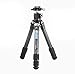 Produktbild LEOFOTO Carbon-Dreibeinstativ LS-283CM Ranger + Ballhead LH-30