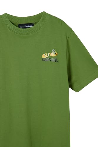 Desigual Boys' Little Casual3