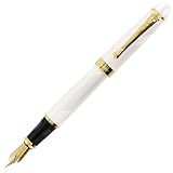JinHao X450 Kurve Vanilla GT Fountain Pen - Medium