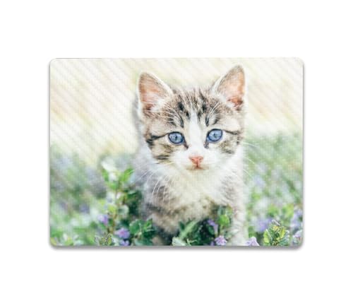Image of MightySkins Carbon Fiber Skin Compatible With Microsoft Surface Laptop Go 3 (2023) Full Wrap Kit - Blue Eyed Kitten | Protective, Durable Textured Carbon Fiber Finish | Easy To Apply | Made in the USA