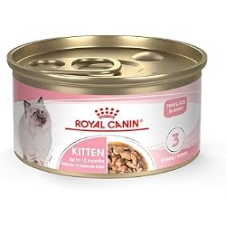 Royal Canin Feline Health Nutrition Kitten Thin Slices in Gravy Cat Food, 3 oz (Pack of 24).